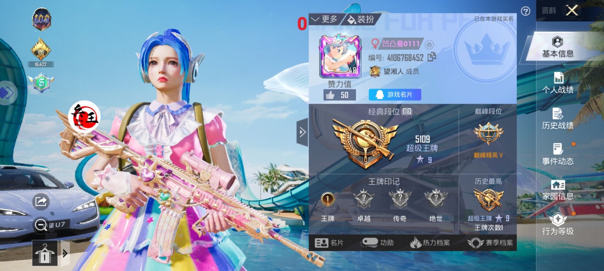 和平精英模拟器《ACE》内部辅助上架